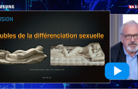 Étude des organes génitaux fœtale internes et externes et des surrénales