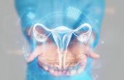 Greffe d’utérus aux États-Unis : un bilan encourageant